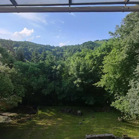 Vadrozsa Vendeghaz *
